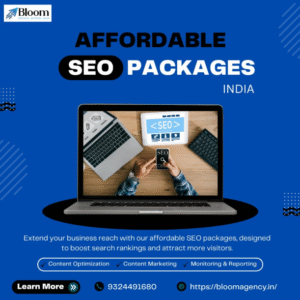 SEO cost in India